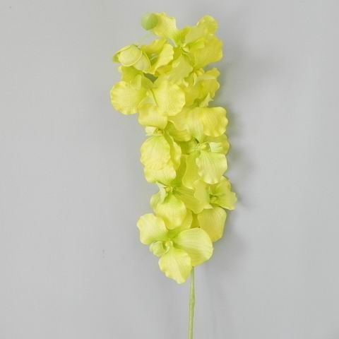 Orchidej umělá zelená
