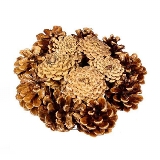 Kruh šiškový lakovaný 15cm