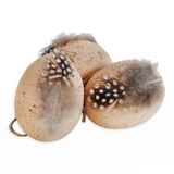 Vajíčka reálná/peří 6ks/6cm natural
