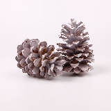 Su Šišky Pinea Whitewashed 2ks 