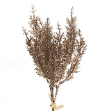 Tráva zápich umělý x3/34cm šampáň