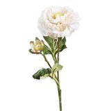 Ranunculus textil 40cm krémová