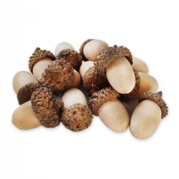 Žaludy přízdoba dřevo 18ks/2,5cm natur