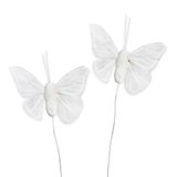 Motýl zápich textil 6ks/6cm bílá