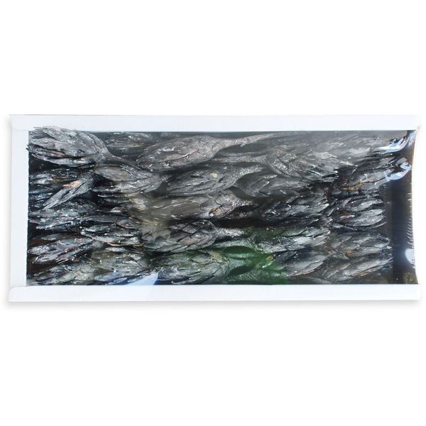 REPENS FLOWER FROSTED BLACK TRAY (50PC)