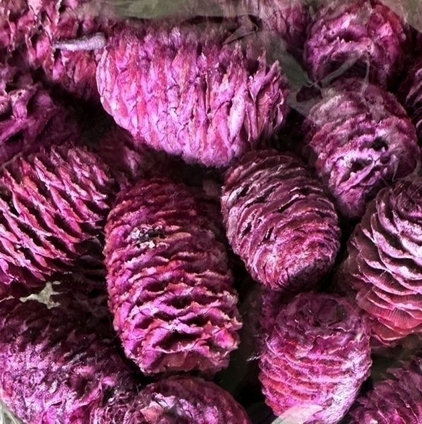 SABULOSUM LOOSE FROSTED ERIKA POLY BAG ( 1 kg )