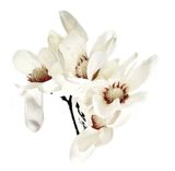Magnolie umělá V45cm bílá