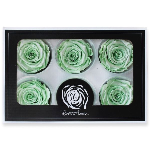 Stabilizovaná růže hlava 6ks/6,5cm satin mint