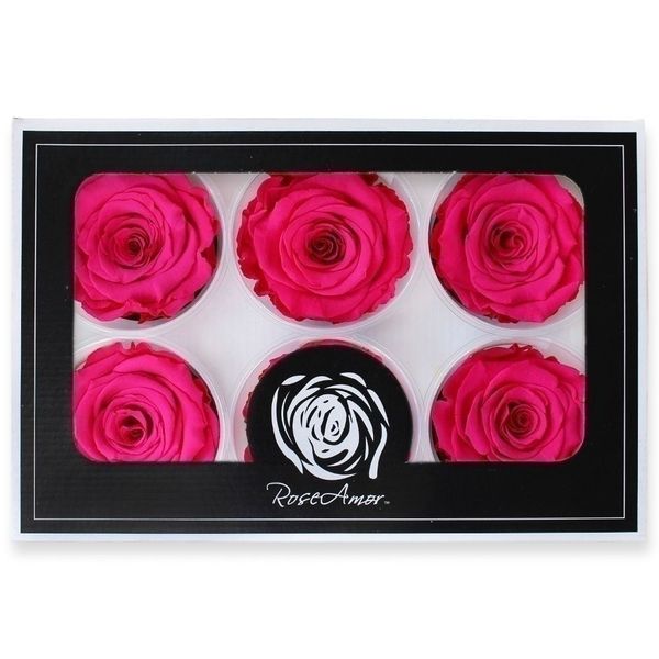Stabilizovaná růže hlava 6ks/6,5cm fuchsia