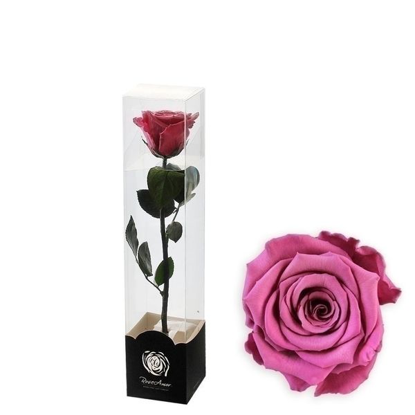 Stabilizovaná růže na stonku 30cm starorůžová