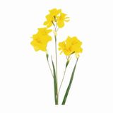 Narcis umělý 68cm žlutá