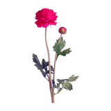 Ranunculus umělý x2/48cm tm.růžová