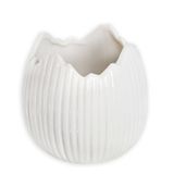 Skořápka obal porcelán 11,4cm
