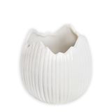 Skořápka obal porcelán 9,4cm
