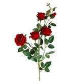 Růže kytice x5/92cm červená