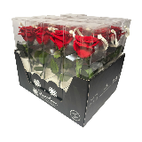 Display papír 32x25cm (12růží)