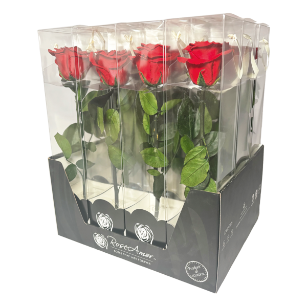 DISPLAY_STEM_+_FLOWER_30CM_vector.png